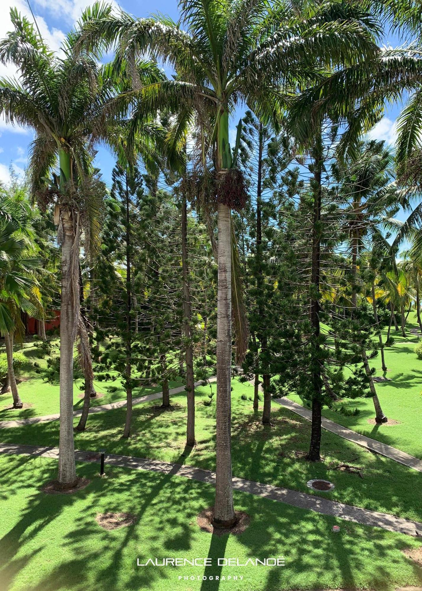 סן-פרנסואה Appartement Varangue, Anse Des Rochers מראה חיצוני תמונה